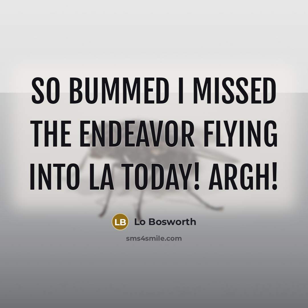 “So bummed I missed the Endeavor flying into LA today! ARGH!” quote by Lo Bosworth