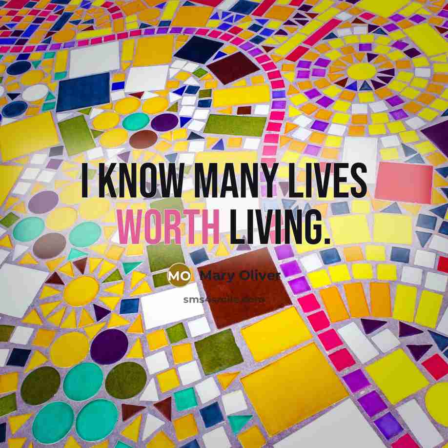 “I know many lives worth living.…” quote by Mary Oliver