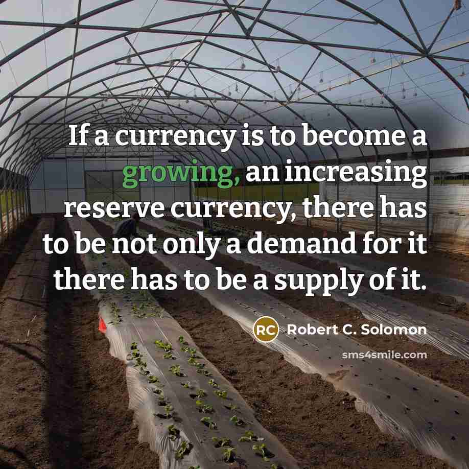 “If a currency is to become a growing, an increasing…” quote by Robert C. Solomon