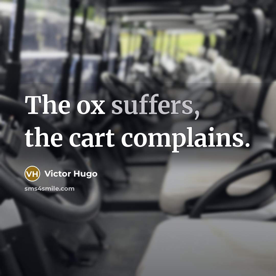 “The ox suffers, the cart complains.” quote by Victor Hugo