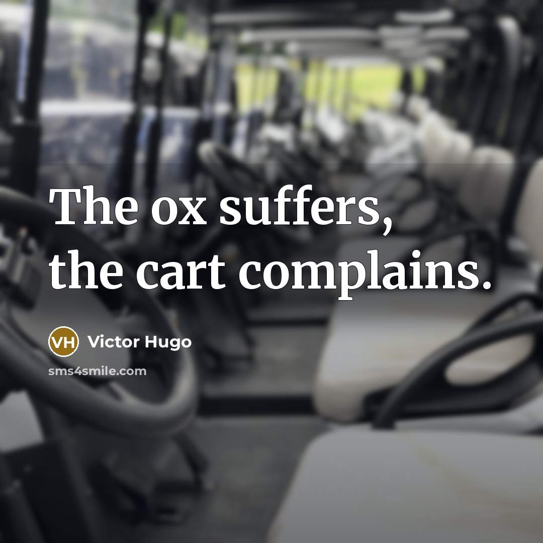 “The ox suffers, the cart complains.…” quote by Victor Hugo