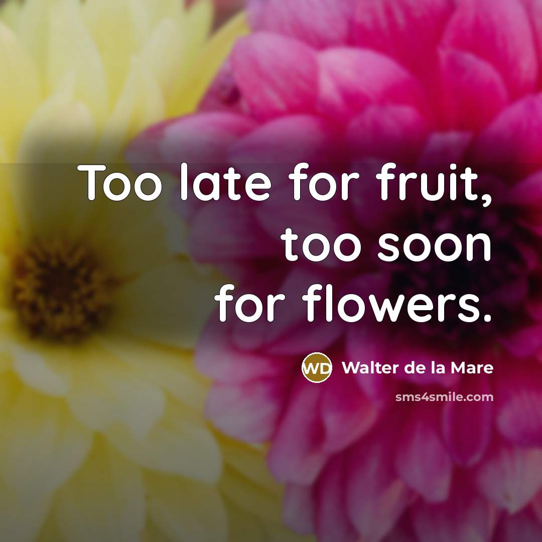 “Too late for fruit, too soon for flowers.…” quote by Walter de La Mare