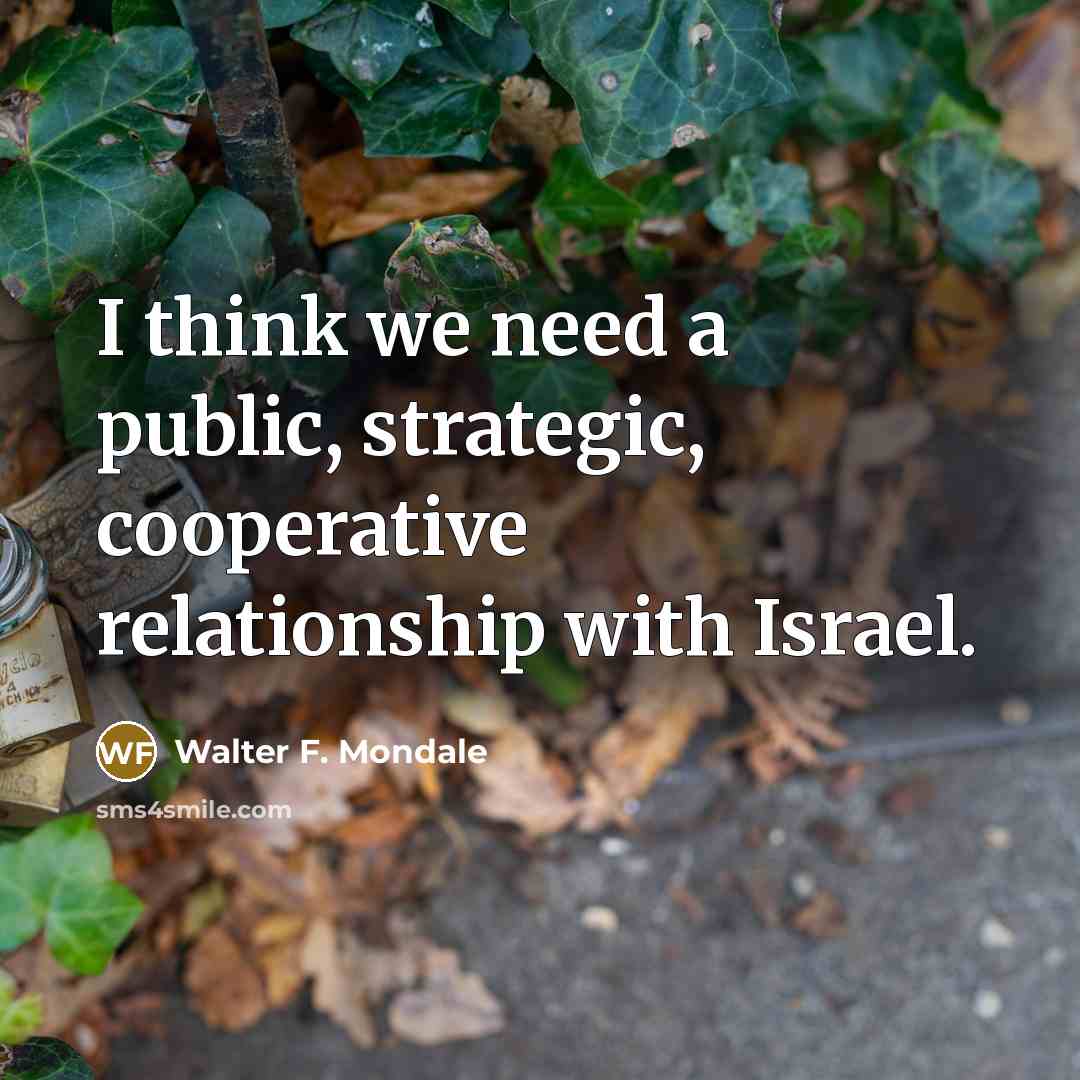 “I think we need a public, strategic, cooperative relationship with…” quote by Walter F. Mondale