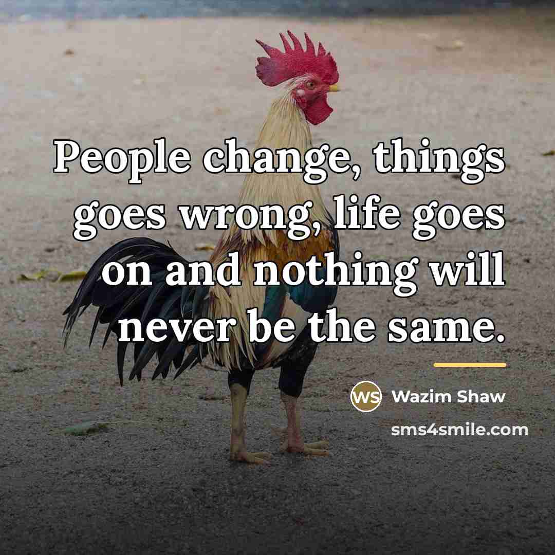 “People change, things goes wrong, life goes on and nothing…” quote by Wazim Shaw