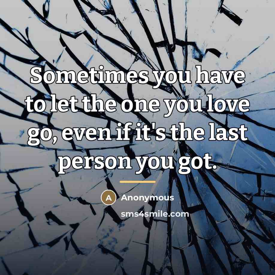 “Sometimes you have to let the one you love go,…” quote by Anonymous