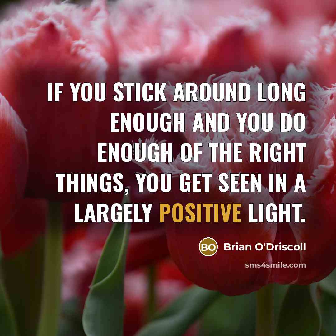 “If you stick around long enough and you do enough…” quote by Brian O'Driscoll