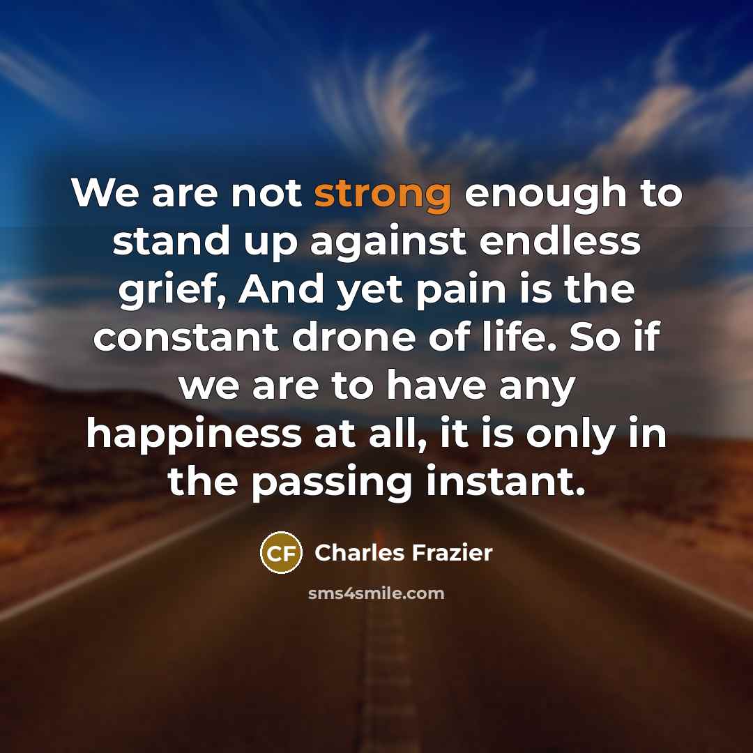 “We are not strong enough to stand up against endless…” quote by Charles Frazier