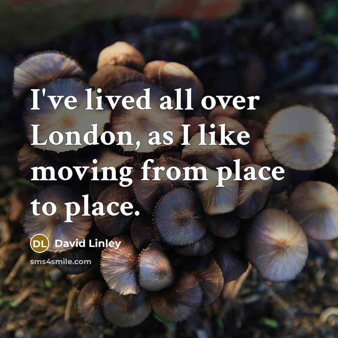 “I've lived all over London, as I like moving from…” quote by David Linley
