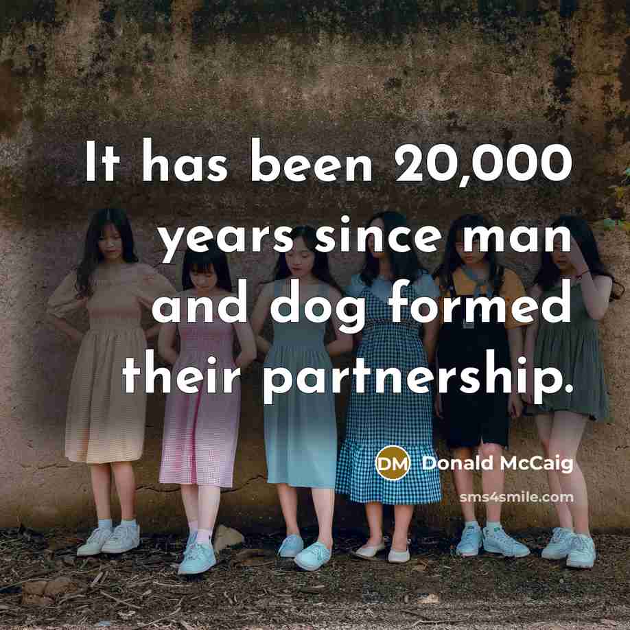 “It has been 20,000 years since man and dog formed…” quote by Donald McCaig