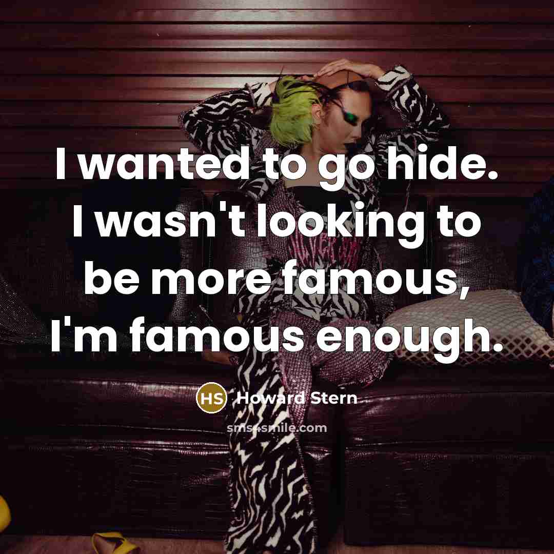 “I wanted to go hide. I wasn't looking to be…” quote by Howard Stern