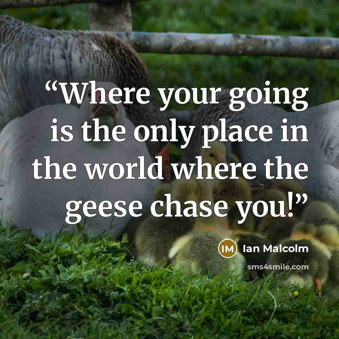 “Where your going is the only place in the world where the geese chase you!” quote by Ian Malcolm
