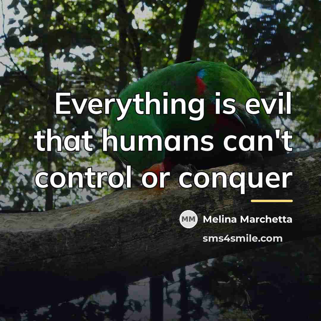 “Everything is evil that humans can't control or conquer…” quote by Melina Marchetta