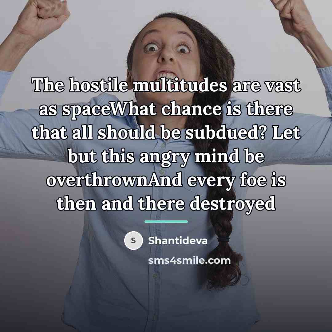 “The hostile multitudes are vast as spaceWhat chance is there…” quote by Shantideva