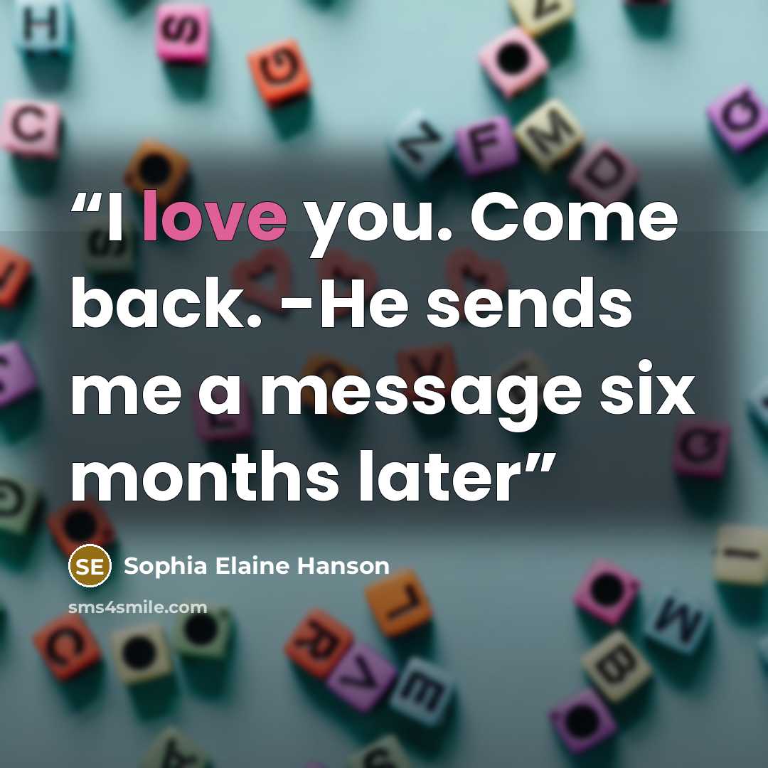 “I love you. Come back. -He sends me a message six months later” quote by Sophia Elaine Hanson