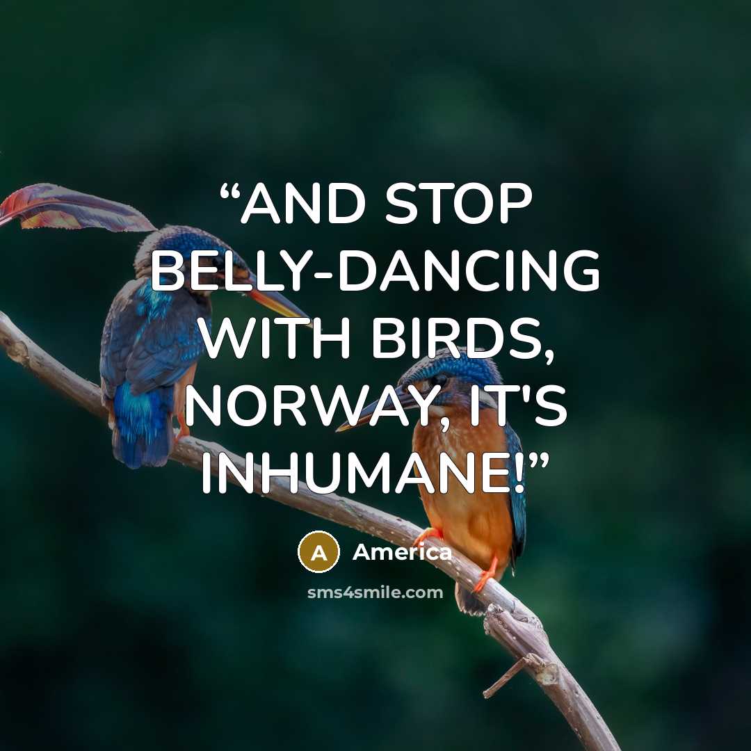 “AND STOP BELLY-DANCING WITH BIRDS, NORWAY, IT'S INHUMANE!” quote by America