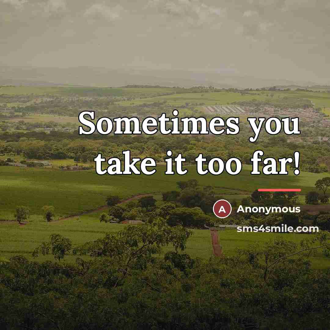 “Sometimes you take it too far!…” quote by Anonymous
