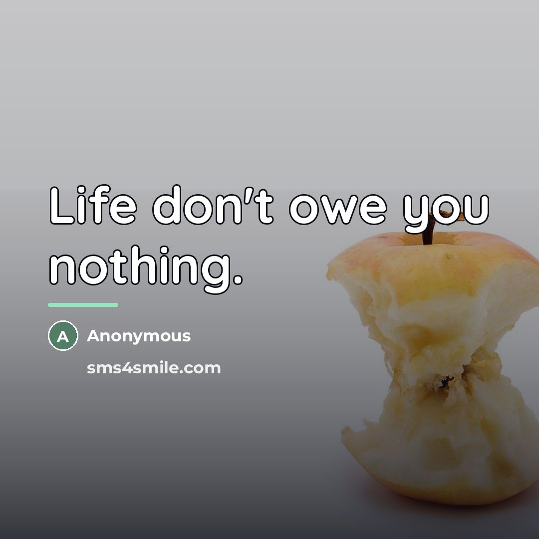 “Life don't owe you nothing.…” quote by Anonymous