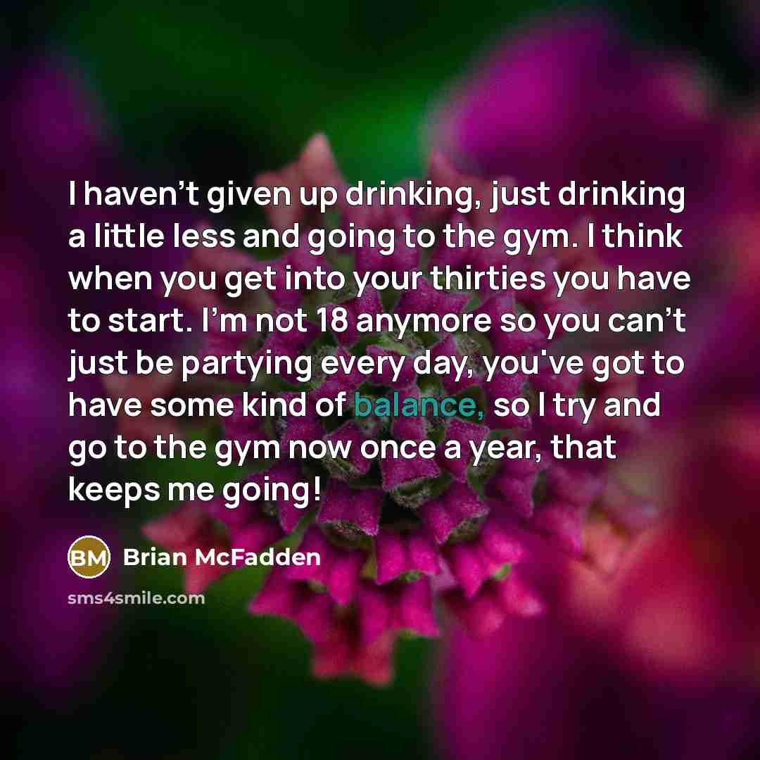 “I haven't given up drinking, just drinking a little less…” quote by Brian McFadden