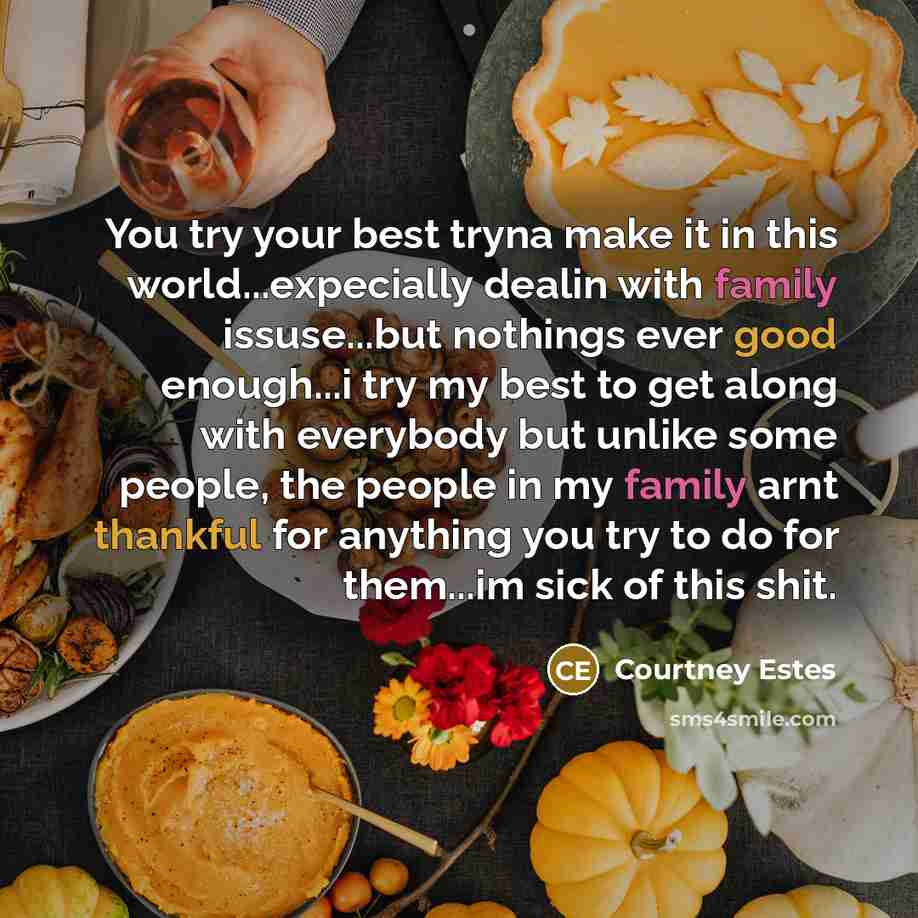 “You try your best tryna make it in this world...expecially dealin with family issuse...but nothings ever good enough...i try my best to get along with everybody but unlike some people, the people in my family arnt thankful for anything you try to do for them...im sick of this shit.” quote by Courtney Estes