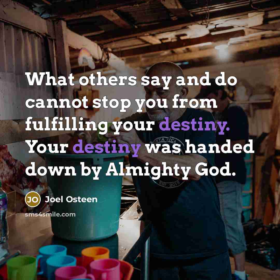 “What others say and do cannot stop you from fulfilling…” quote by Joel Osteen