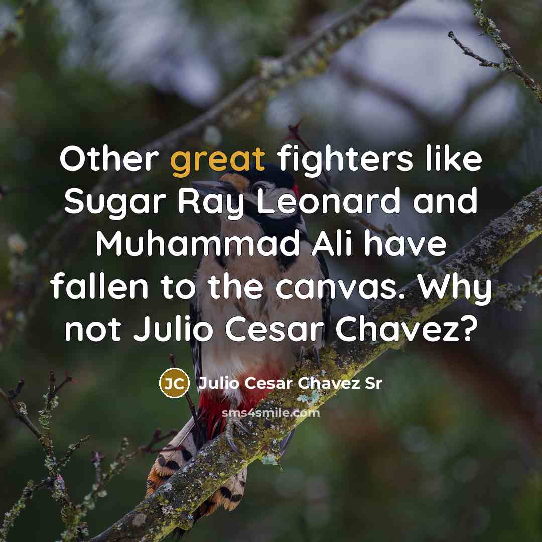 “Other great fighters like Sugar Ray Leonard and Muhammad Ali…” quote by Julio Cesar Chavez Sr
