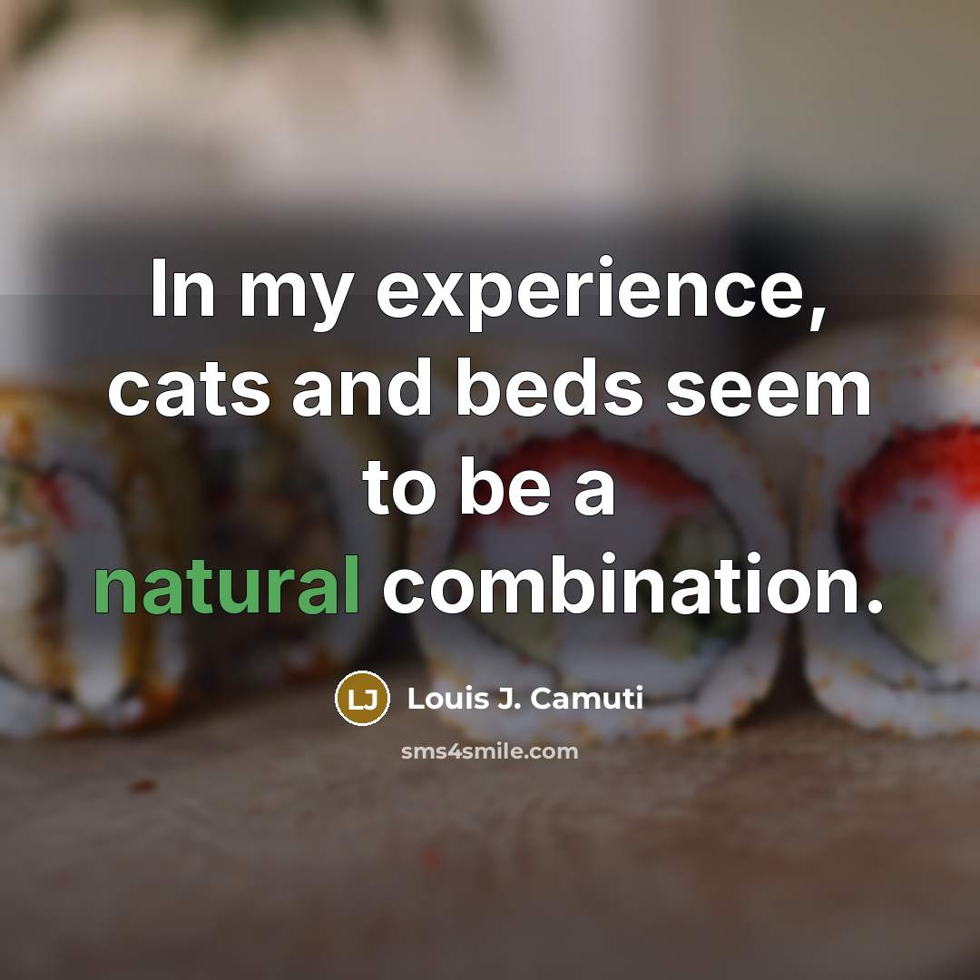 “In my experience, cats and beds seem to be a…” quote by Louis J. Camuti