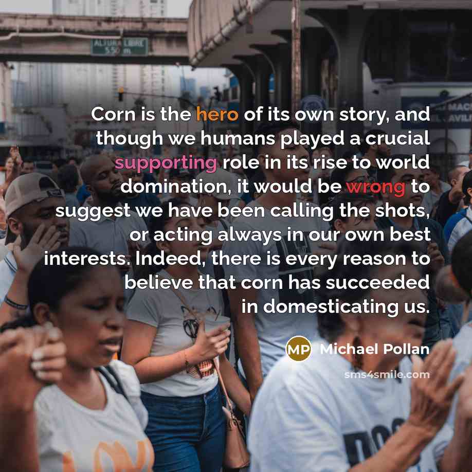 “Corn is the hero of its own story, and though…” quote by Michael Pollan