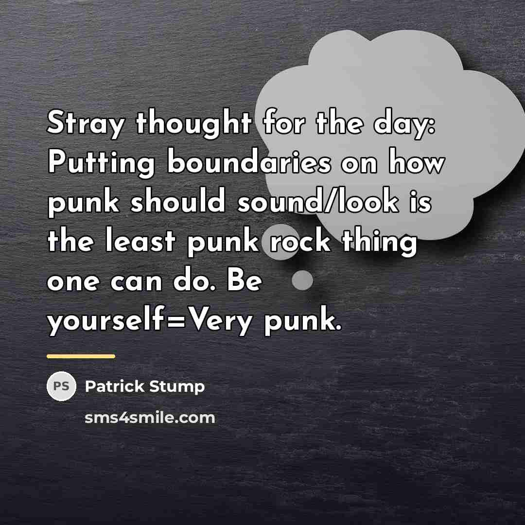 “Stray thought for the day: Putting boundaries on how punk…” quote by Patrick Stump
