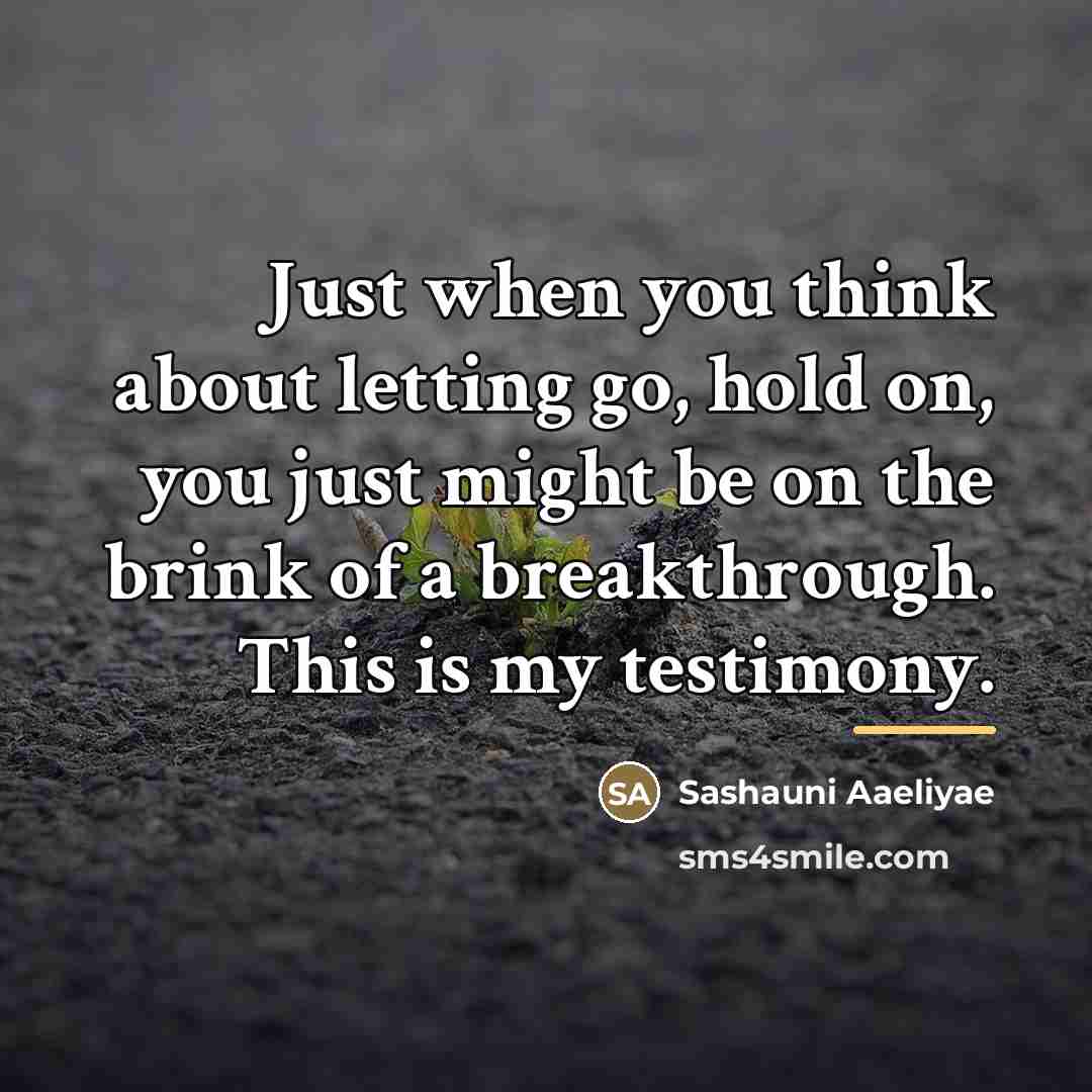 “Just when you think about letting go, hold on, you…” quote by Sashauni Aaeliyae