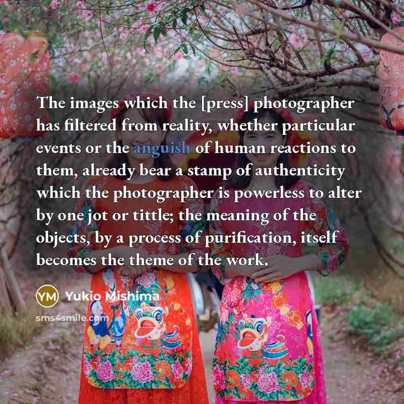 “The images which the [press] photographer has filtered from reality,…” quote by Yukio Mishima