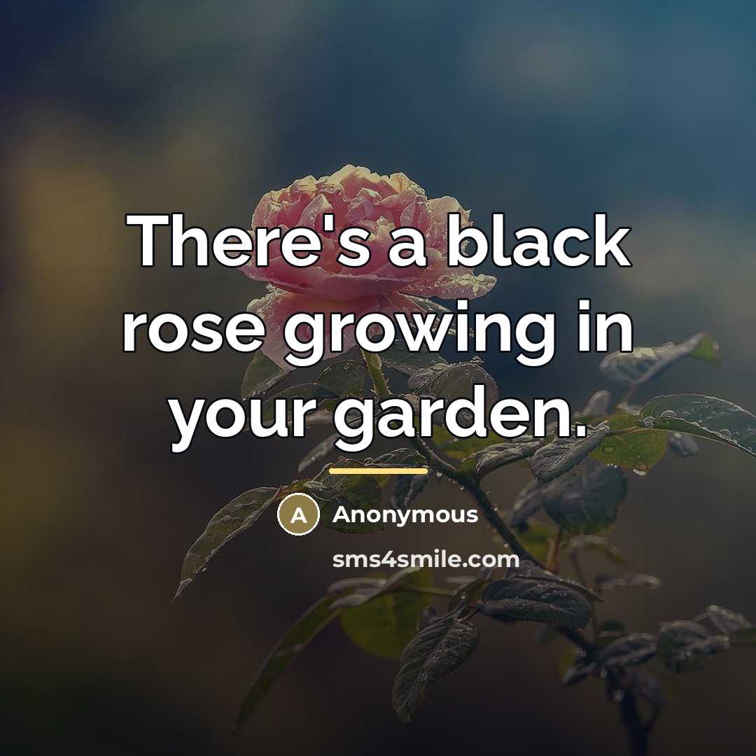 “There's a black rose growing in your garden.…” quote by Anonymous
