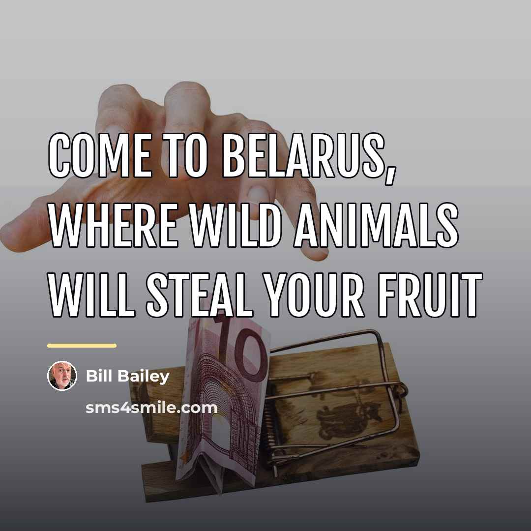 “Come to Belarus, where wild animals will steal your fruit…” quote by Bill Bailey