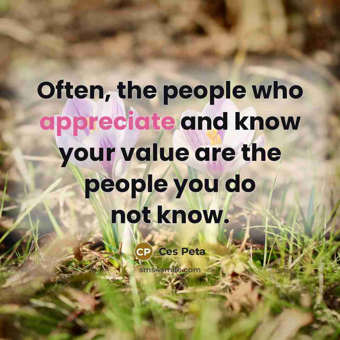 “Often, the people who appreciate and know your value are…” quote by Ces Peta