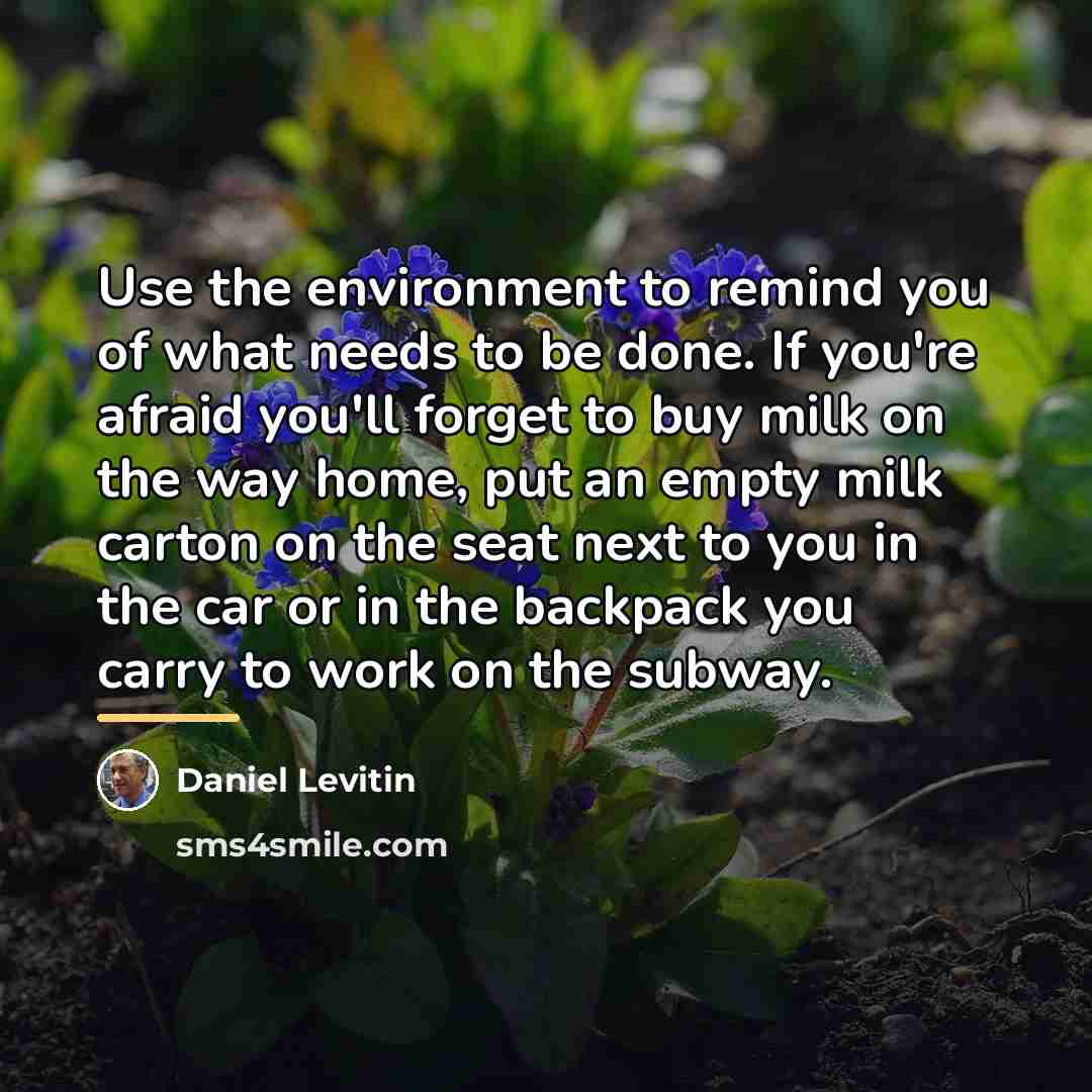 “Use the environment to remind you of what needs to…” quote by Daniel Levitin