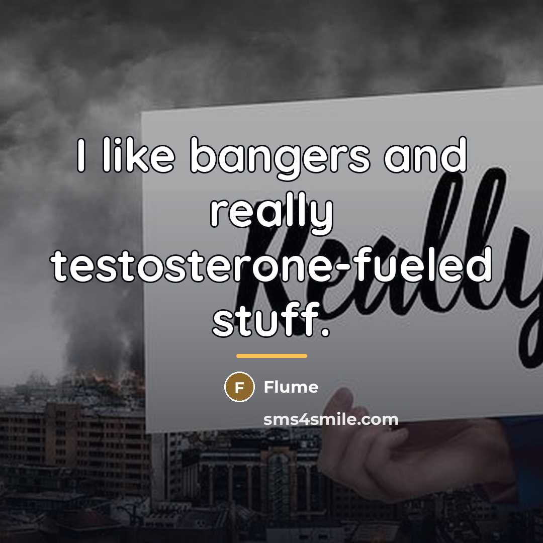 “I like bangers and really testosterone-fueled stuff.…” quote by Flume