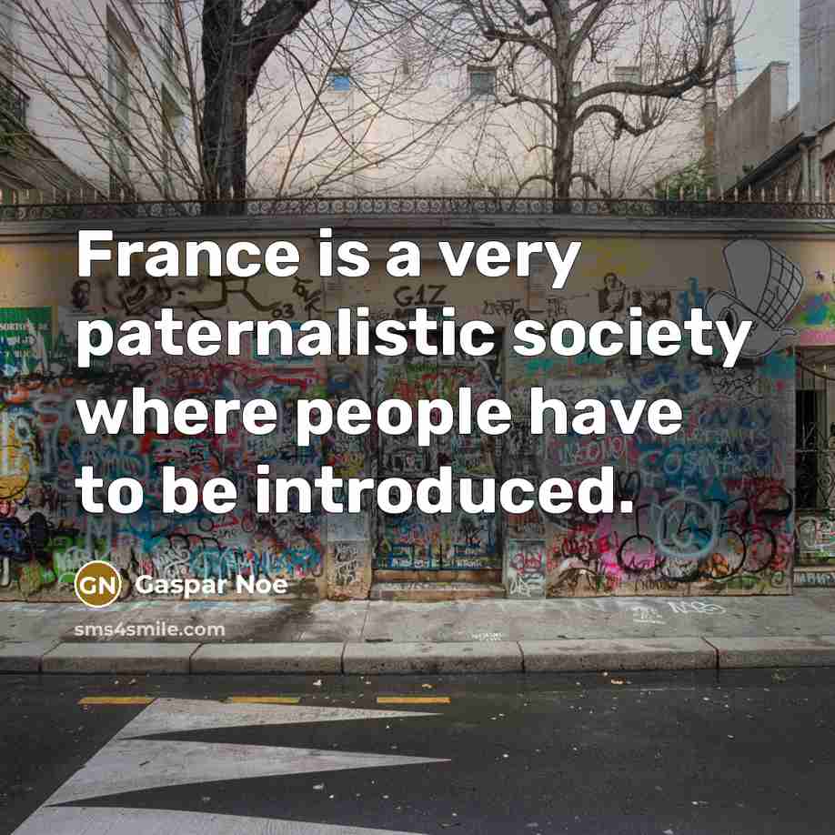 “France is a very paternalistic society where people have to…” quote by Gaspar Noe