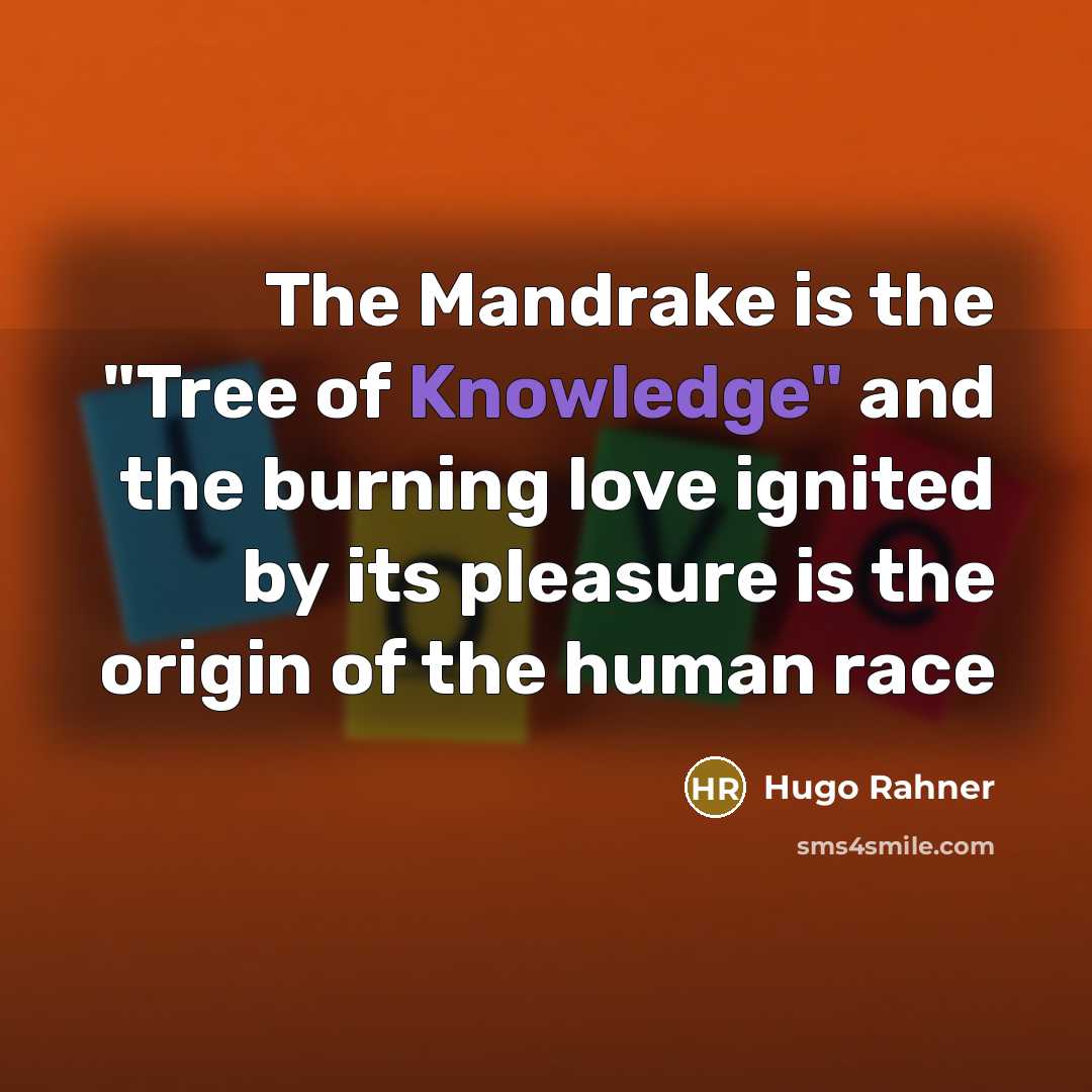 “The Mandrake is the "Tree of Knowledge" and the burning…” quote by Hugo Rahner