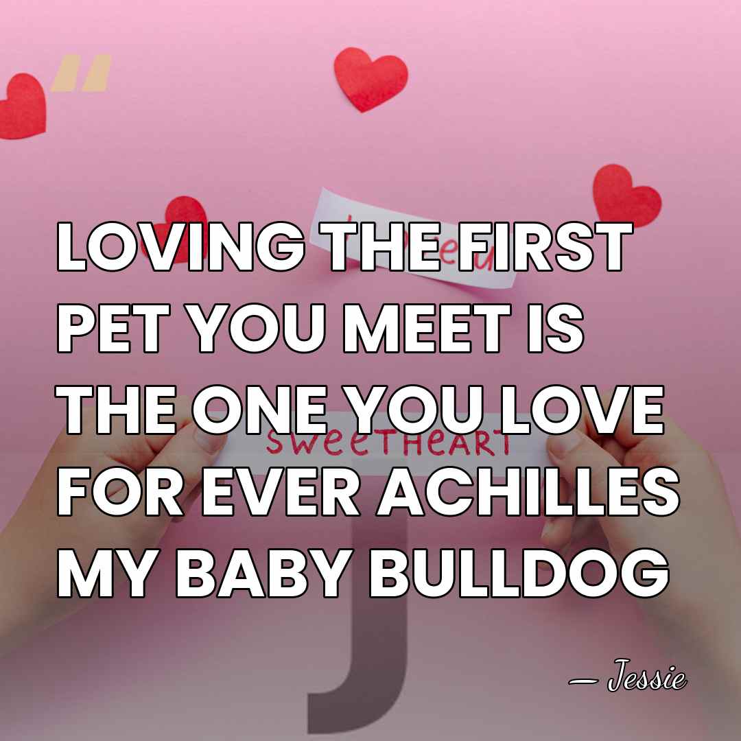 LOVING THE FIRST PET YOU MEET IS THE ONE YOU LOVE FOR&hellip; - JESSIE