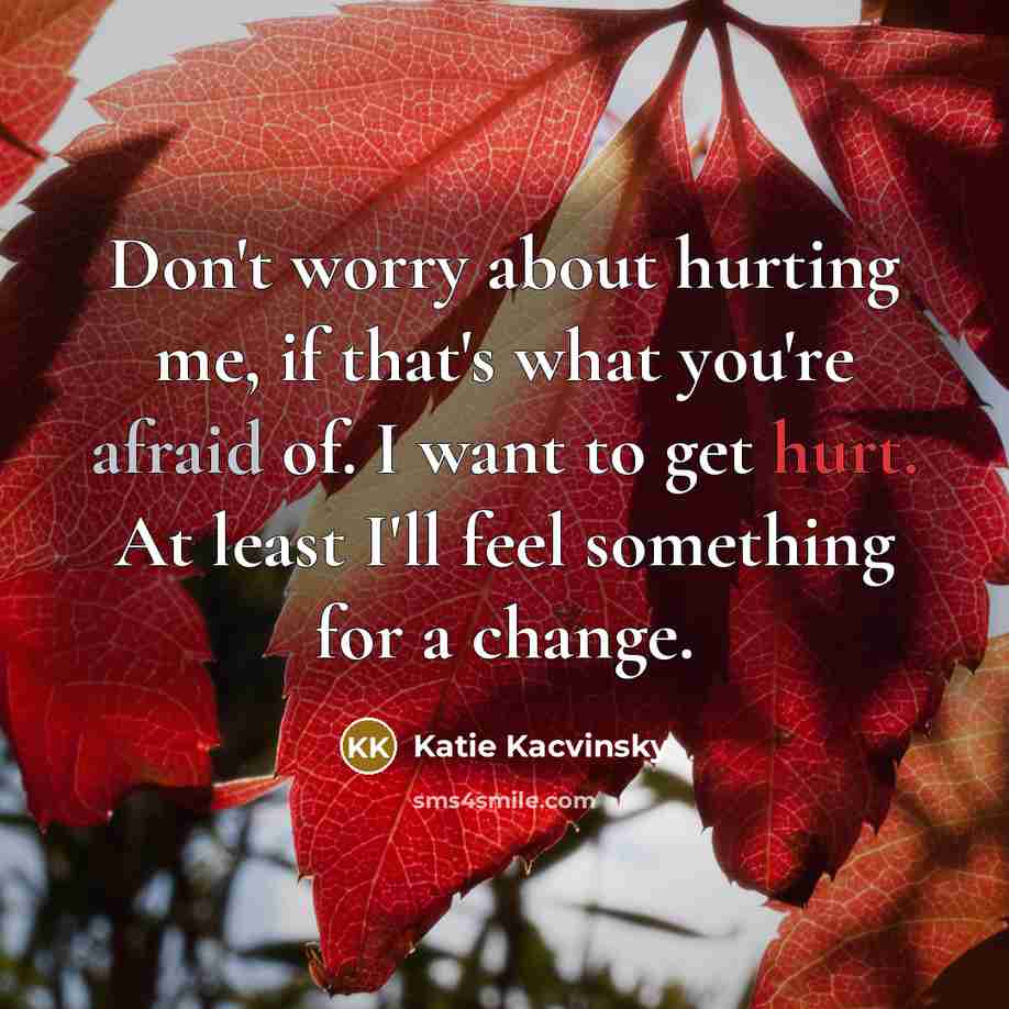 “Don't worry about hurting me, if that's what you're afraid…” quote by Katie Kacvinsky