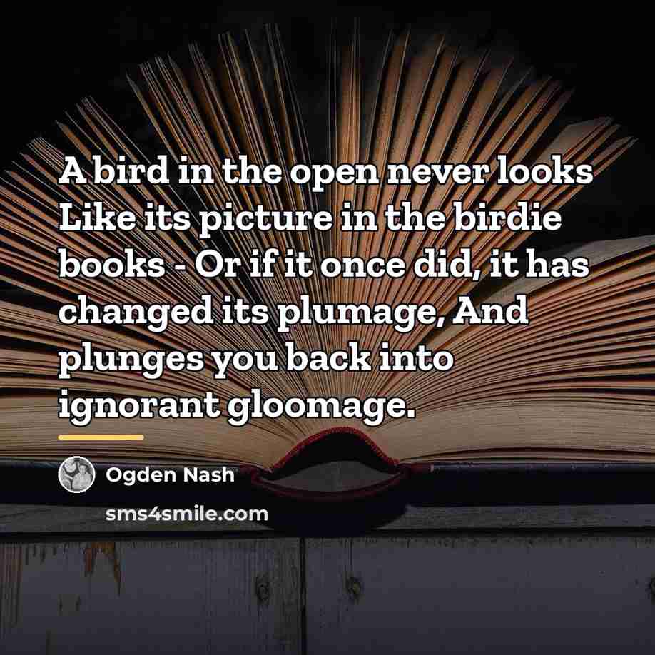 “A bird in the open never looks Like its picture…” quote by Ogden Nash