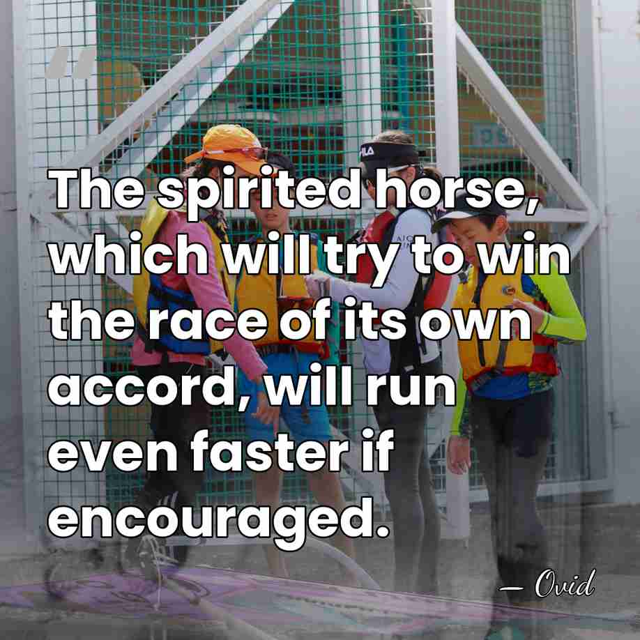 The spirited horse, which will try to win the race of its&hellip; - Ovid