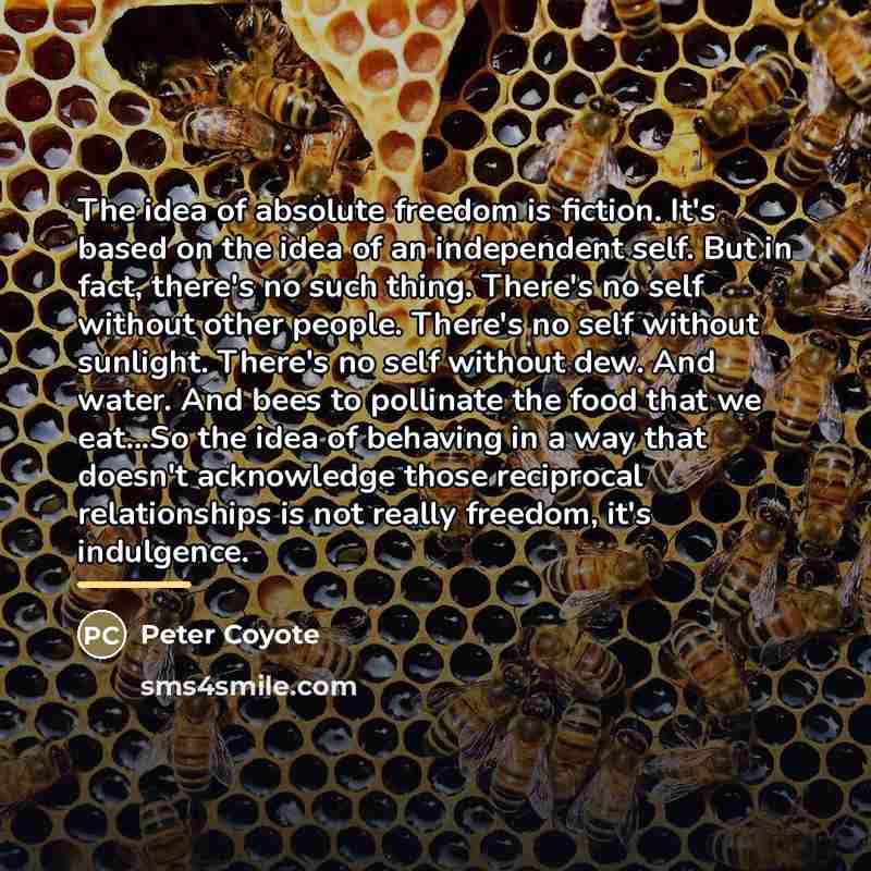 “The idea of absolute freedom is fiction. It's based on…” quote by Peter Coyote