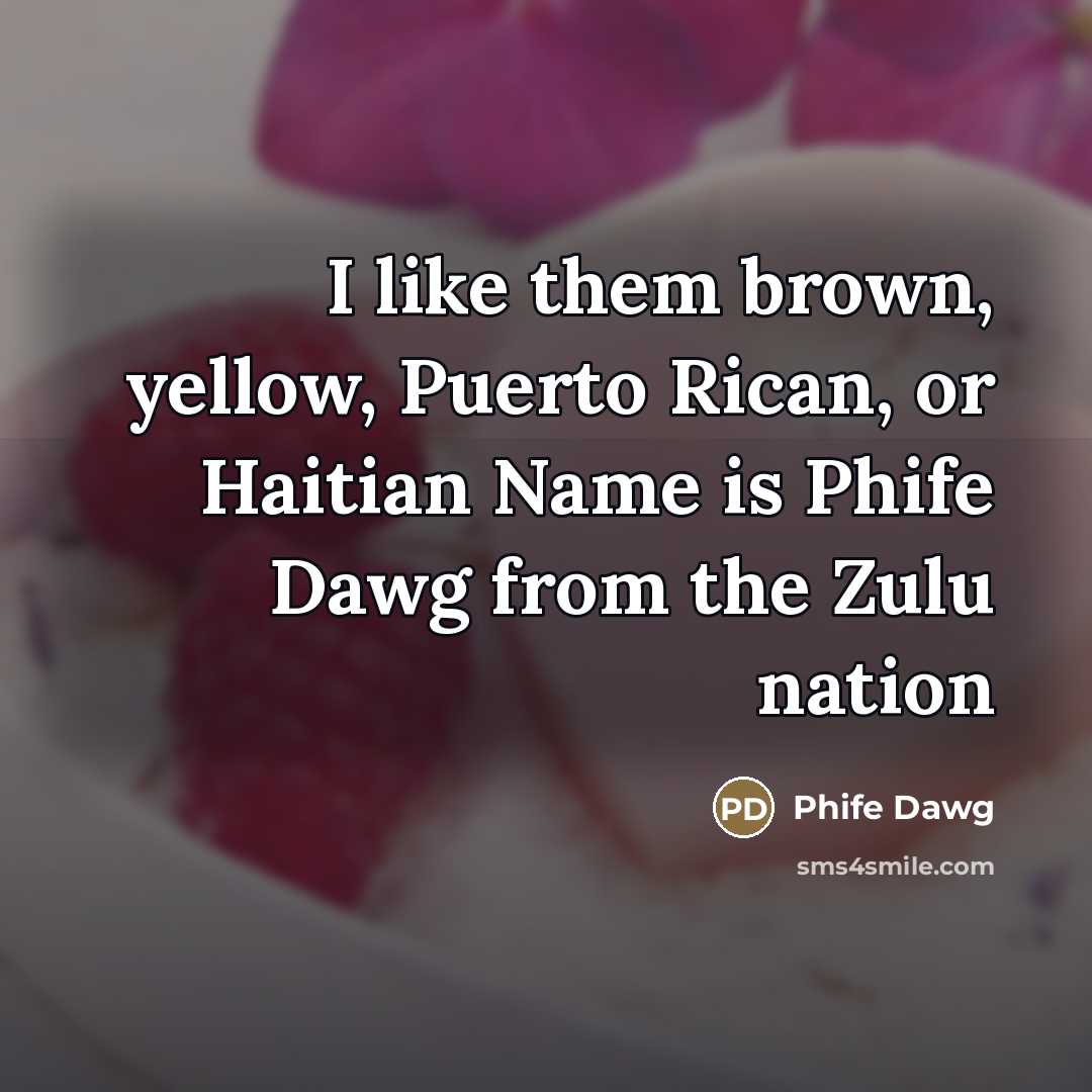 “I like them brown, yellow, Puerto Rican, or Haitian Name…” quote by Phife Dawg