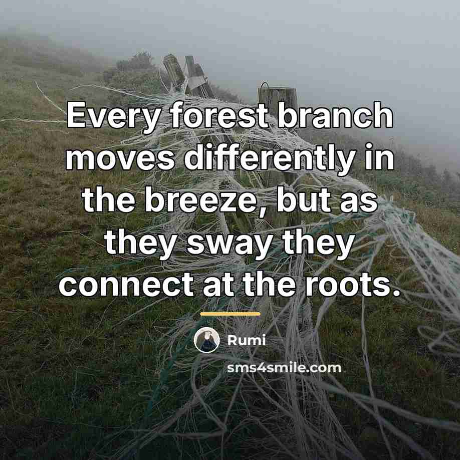 “Every forest branch moves differently in the breeze, but as…” quote by Rumi