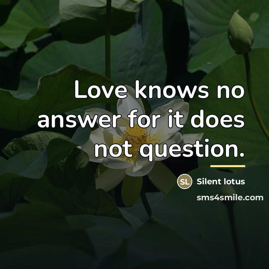 “Love knows no answer for it does not question.…” quote by Silent lotus