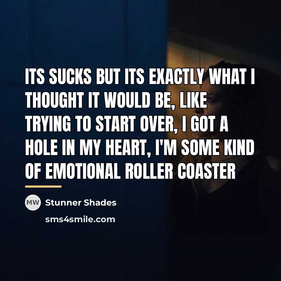 “Its sucks but its exactly what I thought it would…” quote by Stunner Shades