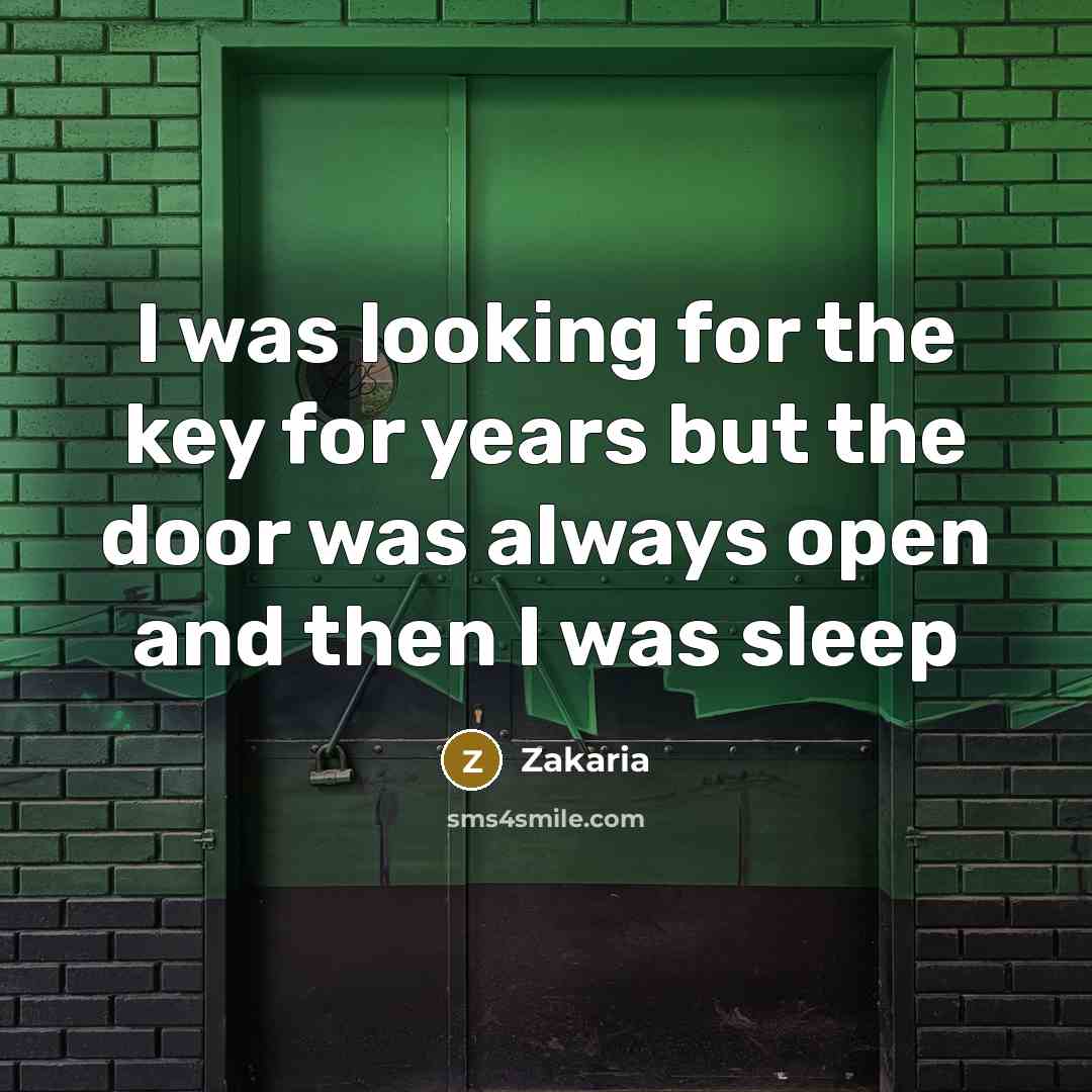 “I was looking for the key for years but the door was always open and then I was sleep” quote by Zakaria