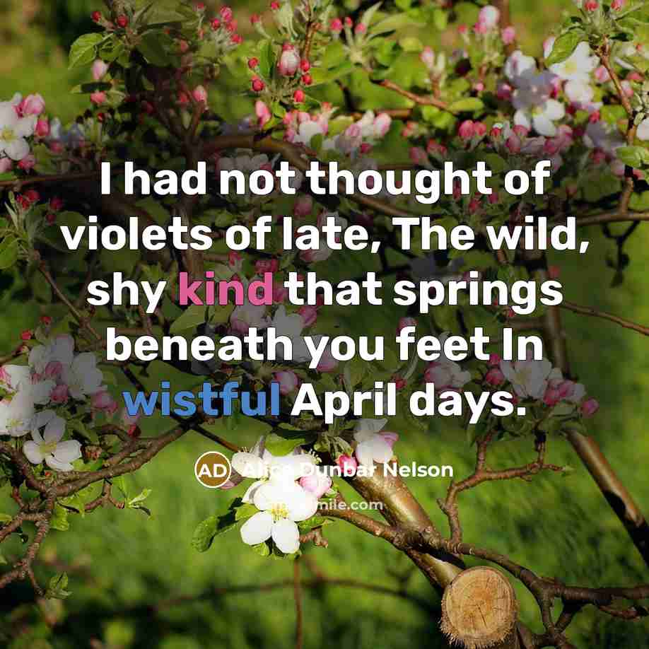 “I had not thought of violets of late, The wild,…” quote by Alice Dunbar Nelson