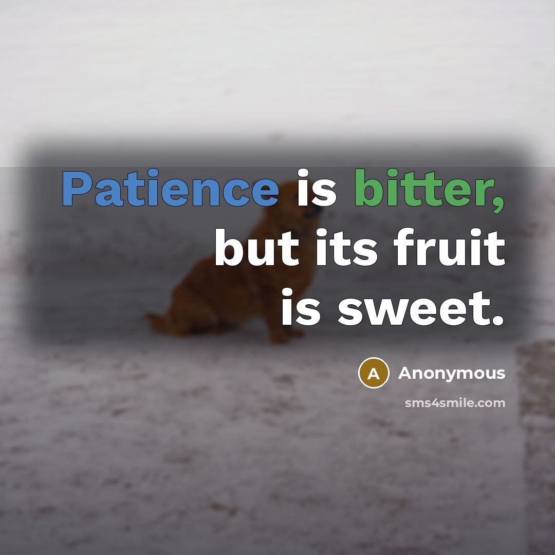 “Patience is bitter, but its fruit is sweet.” quote by Anonymous