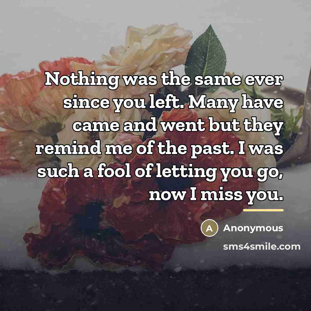 “Nothing was the same ever since you left. Many have…” quote by Anonymous